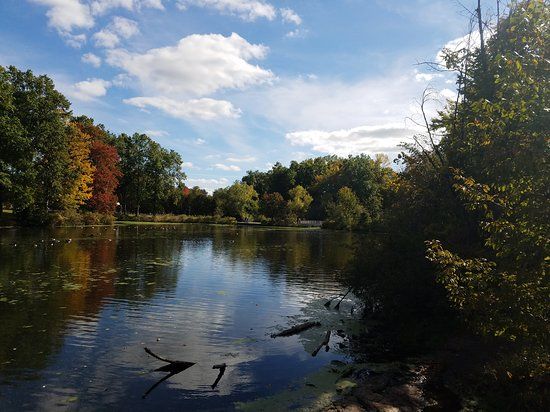 Mill Pond Park